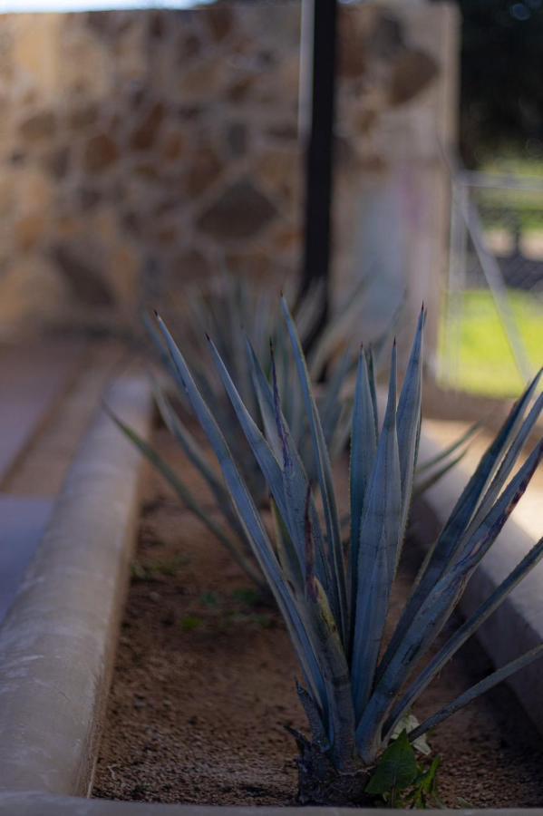 Apartamento La Catrina Valle de Guadalupe Exterior foto